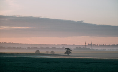 Wall Mural - an early morning field with fog over the ground