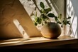 Contemporary vase, green plant, wooden plate, stone counter, sunlight, leaf shadow, beige stucco wall, interior design, product display. Generative AI