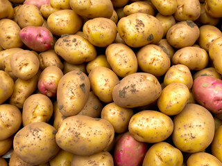 Poster - fresh potatoes in the market