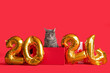 canvas print picture - Cute cat in Christmas gift box with figure 2024 on red background