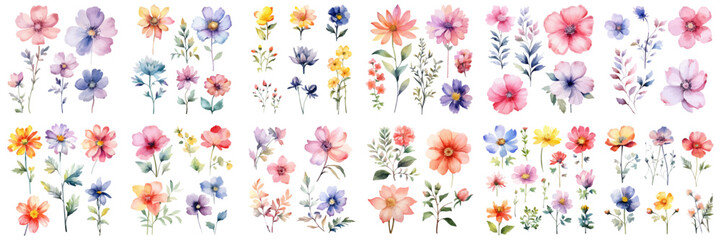 Set of wildflower bouquet collection with watercolor. Set garden pink flowers, leaves, branches, Botanic illustration isolated on white background. Watercolor floral vector for any design.