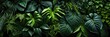 Group Background Dark Green Tropical Leaves , Banner Image For Website, Background abstract , Desktop Wallpaper