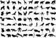Animal silhouettes Vector illustration. Diverse species mammals, birds, reptiles, insects. cat, dog, elephant, lion, tiger, snake, bird, fish, cow, pig, deer,hedgehog, lizard, crocodile, giraffe, rat