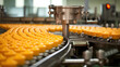 Automated Food Production Line for Dairy Cheese