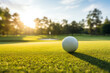 A golf ball on the golf course
