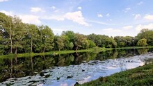 Wilanow, Warsaw, Poland July 11, 2023 : Time Lapse.    Landscape Of Trees And River With Water Reflection In The Royal Wilanow Park In Warsaw. Poland