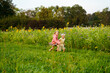 © Westend61 - Happy sister and brother running in sunflower field