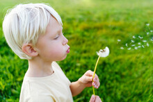 Blond Boy Blowing Dandelion Flower In Field