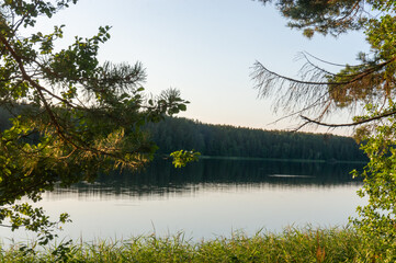 Wall Mural - Beautiful view of the forest lake