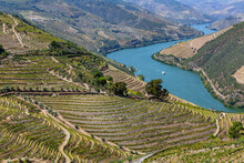 Douro River Valley Near Pinhao