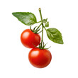 Cherry tomato red fresh cut out transparent 