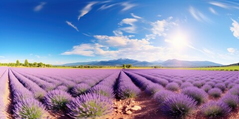 Sticker - Lavender field in the countryside with sun and clouds, AI