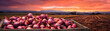 Red onions harvested in a wooden box with field and sunset in the background. Natural organic fruit abundance. Agriculture, healthy and natural food concept. Horizontal composition, banner.