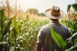 Agricultural Expert Analyzing Corn Crop in Serene Farm Landscape