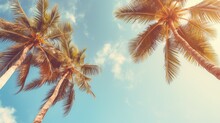 Blue Sky And Palm Trees View From Below, Vintage Style, Tropical Beach And Summer Background