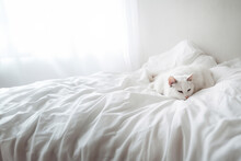 Cute Domestic White Cat Lying On A Bed Under A White Blanket In The Bedroom. Generative AI