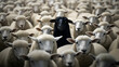 One black sheep in a flock of white sheep. Generative ai.