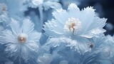 Fototapeta Kwiaty - Frosty ice flowers. 
