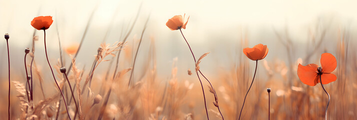 Autumn summer landscape nature background. Dried flowers on meadow on golden hour. Seasonal backdrop, wallpaper, generative ai