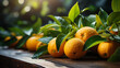 Orange fruit with green leaves on the wood. Home gardening. Mandarine oranges. Generative AI