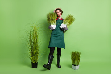 Poster - Full body portrait of cheerful lady hands hold potted plant look empty space isolated on green color background