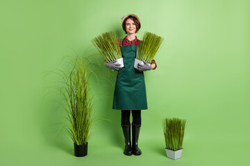 Sticker - Full body portrait of pretty satisfied girl arms hold plants have good mood isolated on green color background