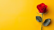 Una Rosa Roja En Fondo Amarillo Con Espacio Para Texto. Concepto Del Día De Los Enamorados. Generado Por IA.