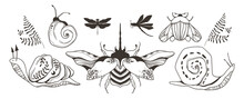 Mystical Celestial Moth, Beetle, Dragonfly And Snail Clip Art Bundle, Magic Black And White Insects Line Silhouettes In Vector, Unreal Hand Drawn Isolated Elements Set