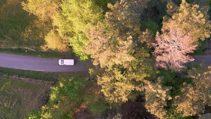 Wall Mural - Car Driving On The Road Along The Grassy Land At Sunset. - aerial overhead