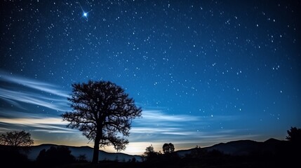 Wall Mural - beautiful night sky
