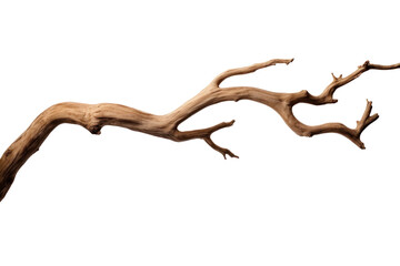 Wall Mural - dry tree branch isolated on transparent background.