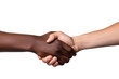 © tong2530 - Handshake gesture isolated on a transparent background.