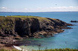 St David s Head on the Pembrokeshire coast in Wales, UK.