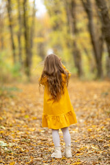 Wall Mural - Rear view fashion little girl walking in autumn forest. Cute little girl in a yellow dress walks in a beautiful autumn park, stands on the background of bright colorful foliage.