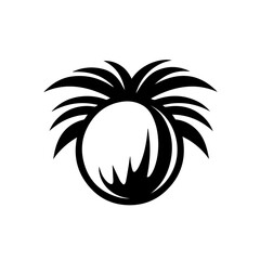 Wall Mural - Coconut Vector