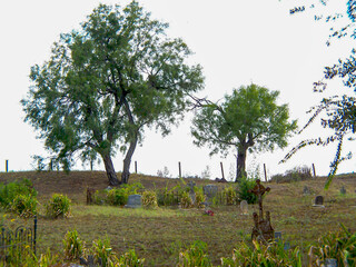 Wall Mural - OLD GRAVEYARD, 