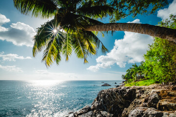 Tropical landscape with palm tree and granite rocks. Sunset beach at Seychelles, Mahe