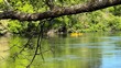 Kayaking on the Waikato River