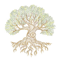 Aufkleber - Old big family tree with roots isolated on white. Concept Art for your design. Design interior ideas.