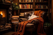 Cozy reading nook, complete with a comfortable chair, a warm blanket, and a bookshelf filled with a variety of genres