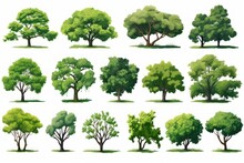Collection Of Majestic Trees In Various Shapes And Sizes Generative AI