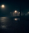 © Wirestock - a street lamp next to a wet street in the dark