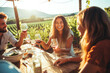 © MVProductions - Group of friends tasting wine at an outdoor gathering at a beautiful vineyard spending quality time together