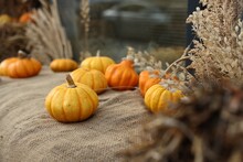 Many Pumpkins And Dry Flowers On Burlap Fabric Outdoors, Selective Focus