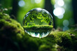 A green tree seen through the lens ball. A lens ball on green moss., Green nature in the water ball