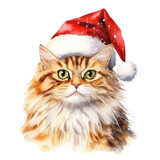 Fototapeta Koty - Cute cat in Santa Claus hat. Watercolor illustration on transparent background.
