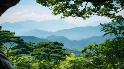 Japanese mountain landscape seen through the lens of forestry With copyspace for text