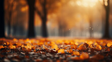 Autumn Leaves On The Fire HD 8K Wallpaper Stock Photographic Image