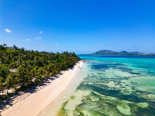 Wall Mural - beach on fijian tropical island. palm trees on white sand beach and shallow turquoise water.