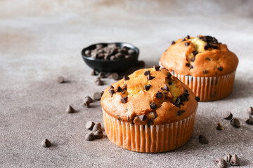 Wall Mural - Muffin with chocolate chips on brown background. Sweet pastries.